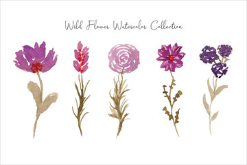a set of cute hand painted purple wild flower and leaf watercolor