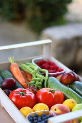 Wooden crate full of healthy seasonal fruit and vegetable, in the garden. Selective focus.
