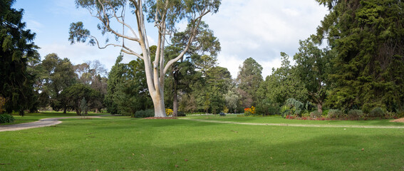 Background texture panoramic view of a vast vacant grass lawn with a variety of trees and footpath in the distance. Panorama of a formal botanical garden with a large outdoor open space. Copy space