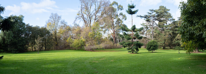 Background texture panoramic view of a vast vacant grass lawn with a variety of trees in the...