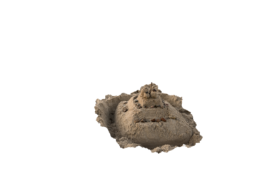 sand castle on the beach