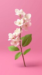 Obraz na płótnie Canvas Pink flower, with white petals and green leaves. It is placed on top of pink background, creating an interesting contrast between colorful blossom and bright hue of backdrop.. Generative AI