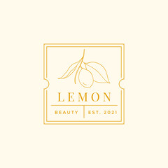 Vector yellow lemon illustration square logo template