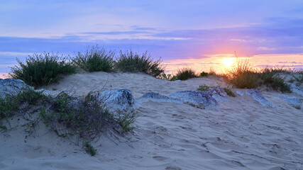 Sunset over the atlantic sea with dune gras. 