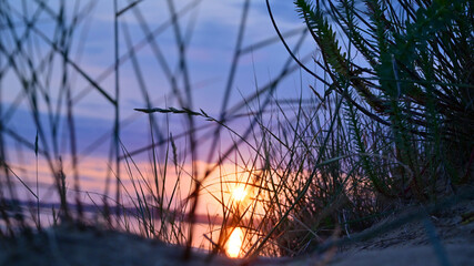 Sunset at evenning on north sea witg dune grass.