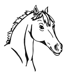Hand drawn, black, watercolor horse head