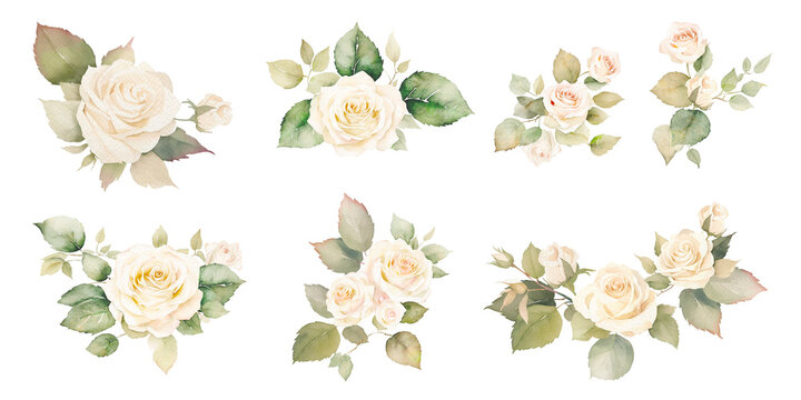 watercolor floral rose illustration, elegant rose flowers, decorative clip art isolated on white background, Dusty roses, soft light blush flowers. Perfect wedding stationary,  greetings, fashion,