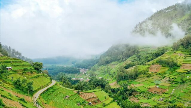 Capturing the beauty of a rural landscape, the footage reveals mist covered hills, cold and fresh, in a breathtakingly beautiful tropical setting