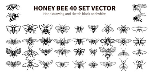 HONEY BEE 40 SET VECTOR HAND DRAWING AND SKETC BLACK AND WHITE. Art & Illustration