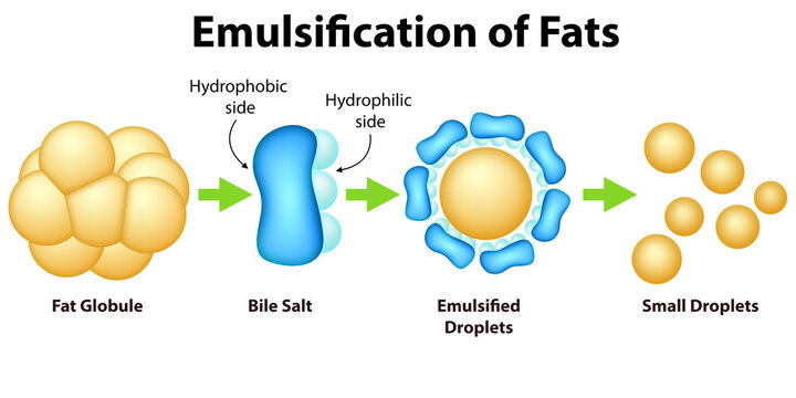 Emulsification of fats process