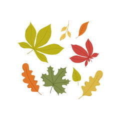 Autumn set of vector hand-drawn elements. A set of leaves. Fall elements.