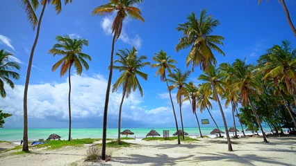 Papier peint adhésif Zanzibar Palmenstrand und Meer