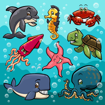 vector sea animals collection
