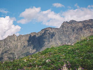 Green meadows and rocky mountains