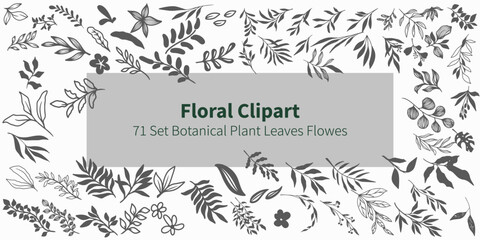Floral Clipart. 71 set botanical plant leaves flower. Art & Illustration