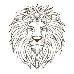 Lion head hand drawn sketch. Ink outline line, wildlife animal. Portrait of the main beast of Africa. Male predator image, isolated vector illustration