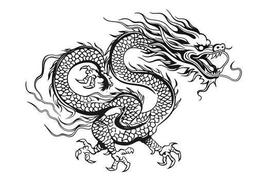 Chinese dragon artwork black line stencil isolated on white PNG