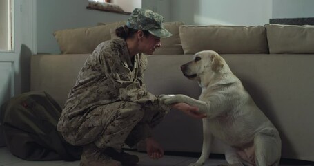 Slow Motion Portrait of Young Happy Female Soldier Petting her Cute Labrador Dog After Returning Back Home From a Mission. Woman in Camouflage Military Uniform Getting Affection from her Pet