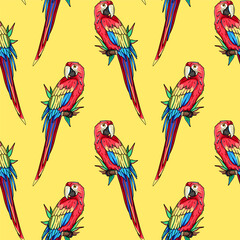 Ara, macaw parrot seamless pattern, background © cmeree