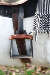 Caballo