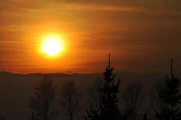 Setting sun above the treetops of coniferous trees, beautiful warm orange light, sunset