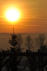 Naklejka premium Setting sun above the treetops of coniferous trees, beautiful warm orange light, sunset