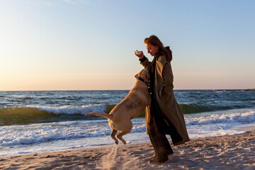 The girl walks with the dog along the beach.