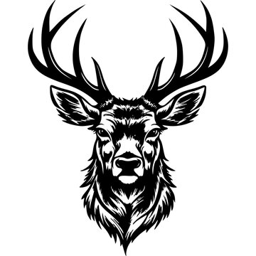 Deer Hand drawn Head Vector Illustration