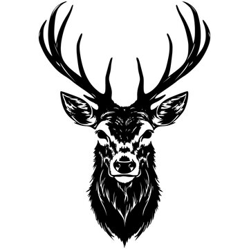Deer Hand drawn Head Silhouette