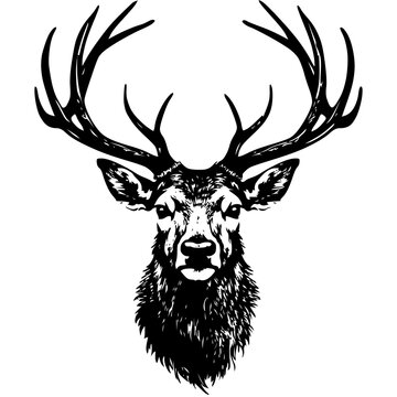 Deer Head Hand drawn Vector Silhouette
