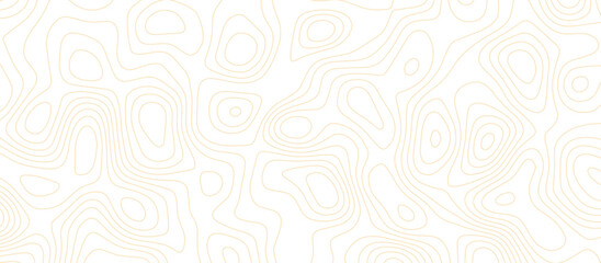 Panorama view gradient multicolor wave curve lines banner background design. Vector illustration. Line topography map contour background .Abstract Topographic map background with wave line.