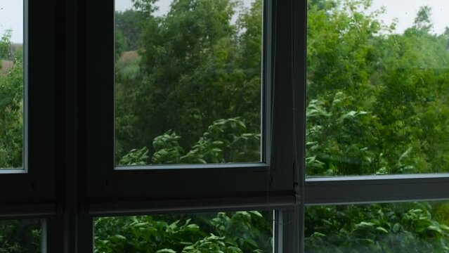 Rain in the summer forest. Beautiful summer rain on a background of green foliage. Slow motion of raindrops on the street. A torrential downpour on the street, drops drip on the grass
