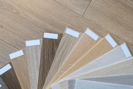 Wooden flooring samples. Architect or interior designer flat lay composition with copy space. Try before buy sample, choosing different wood floor shades and textures.