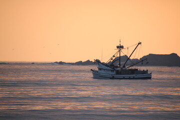 Fototapeta premium boat in the sunset