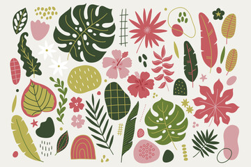 Tropical summer set - flowers, hibiscus, abstract shapes, palm, monstera leaves