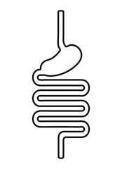 Digestive system icon in flat style. Digestive tract outline.