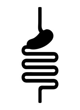 recommend clip art: Black silhouette of human digestive system