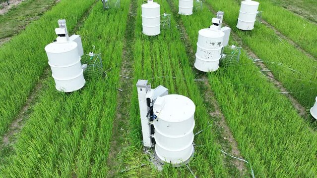 Science scientific measurement respiration wheat common agriculture field Triticum aestivum soil station scientist working technology work earth technological monitoring carbon dioxide oxide oxygen,