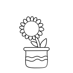 flower in a pot