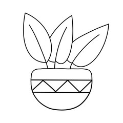 illustration of a flower