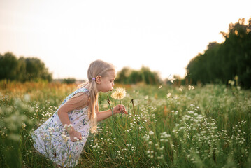 Little girl blowing on a big dandelion