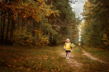 Fototapeta premium A girl walks along the path in autumn