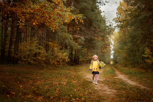 A girl walks along the path in autumn