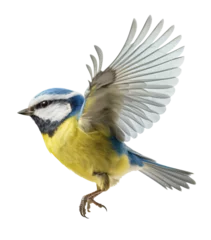 Selbstklebende Fototapeten Flying common great tit isolated on the transparent background PNG. AI generative.  © Monika