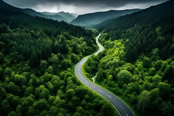 Fotobehang Road leading through lush pine tree green forest, aerial drone view landscape © Artofinnovation