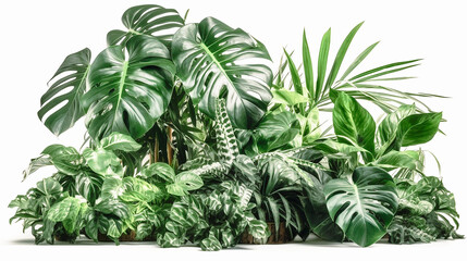 tropical leaves foliage on white Generative AI