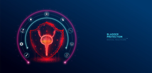 Bladder medical healthcare. Human bladder anatomy organ translucent low poly triangle inside shield futuristic red on dark blue background. Protection medical innovation concept. Vector. - obrazy, fototapety, plakaty