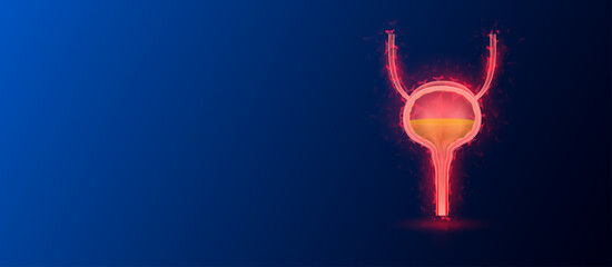 Human bladder anatomy red translucent low poly triangles on dark blue background. Futuristic glowing organ hologram and copy space for text. Medical and science concept. Banner design vector. - obrazy, fototapety, plakaty