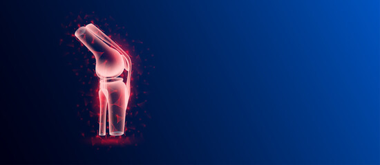 Human bone joint anatomy red translucent low poly triangles on dark blue background. Futuristic glowing organ hologram and copy space for text. Medical and science concept. Banner design vector.