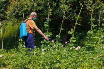 An elderly man in the village sprays his vegetable garden against pests. A worker sprays pesticide...